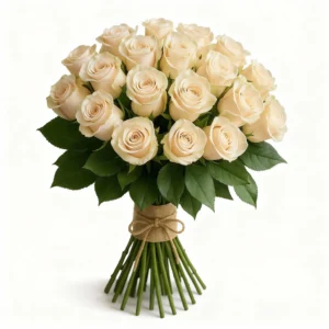 Cream Elegance