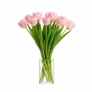 Joyful Tulips