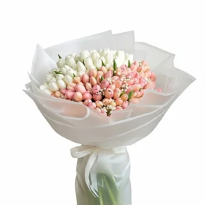 Blush Harmony