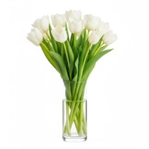 Tranquil Tulips